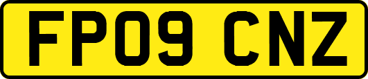 FP09CNZ
