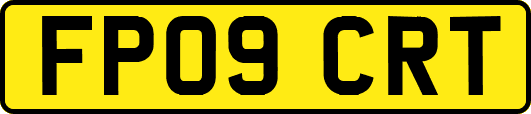 FP09CRT