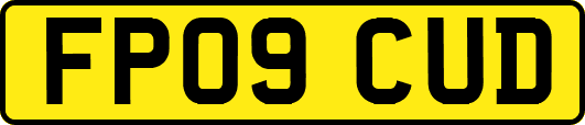 FP09CUD