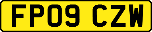 FP09CZW
