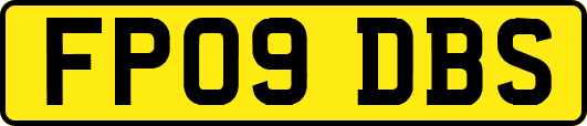 FP09DBS