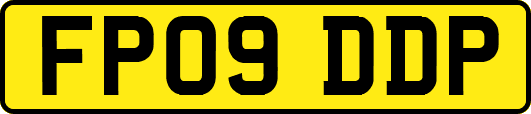 FP09DDP
