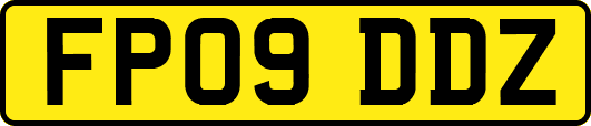 FP09DDZ
