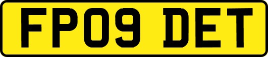 FP09DET