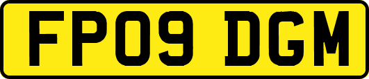 FP09DGM