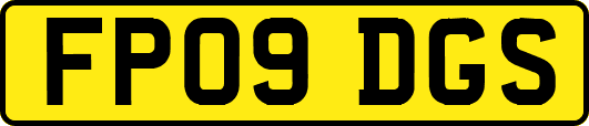 FP09DGS