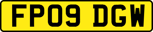 FP09DGW