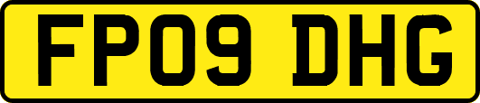 FP09DHG