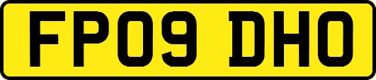 FP09DHO