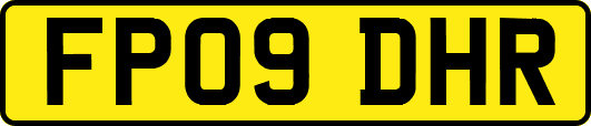 FP09DHR