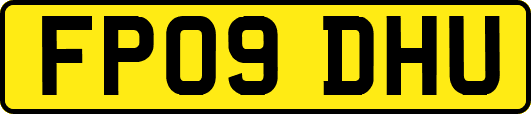 FP09DHU