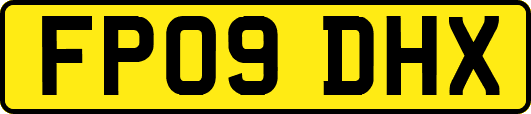 FP09DHX