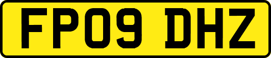 FP09DHZ