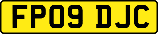 FP09DJC