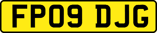 FP09DJG