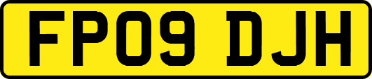 FP09DJH