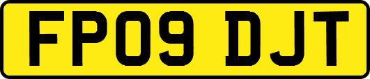 FP09DJT