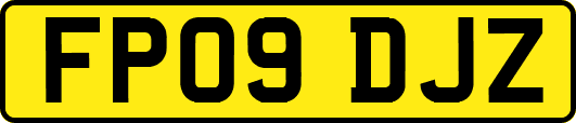 FP09DJZ