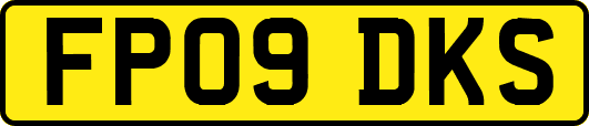 FP09DKS
