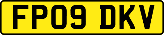 FP09DKV
