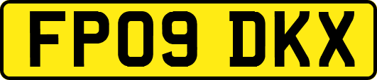 FP09DKX