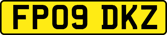 FP09DKZ