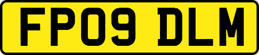 FP09DLM