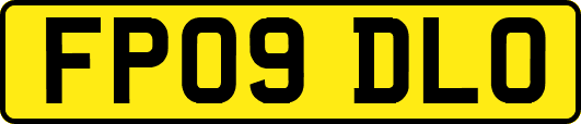 FP09DLO