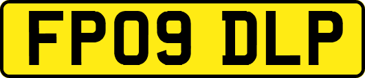 FP09DLP