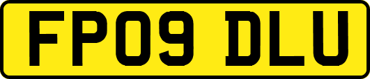 FP09DLU