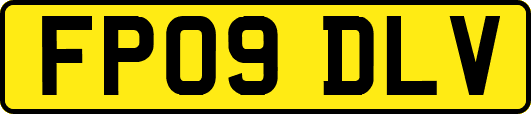 FP09DLV