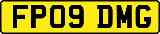 FP09DMG