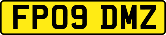 FP09DMZ