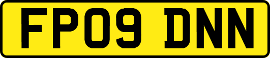 FP09DNN