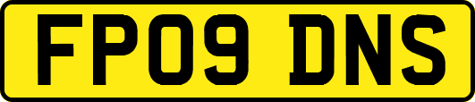 FP09DNS