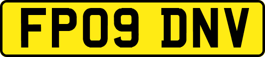FP09DNV