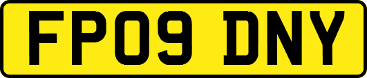 FP09DNY