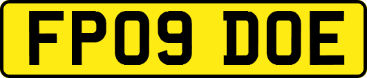 FP09DOE
