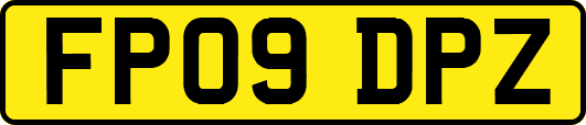 FP09DPZ