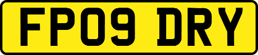 FP09DRY