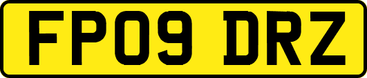FP09DRZ