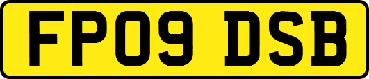 FP09DSB