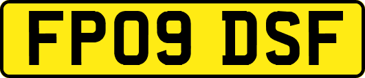 FP09DSF