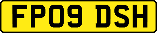 FP09DSH