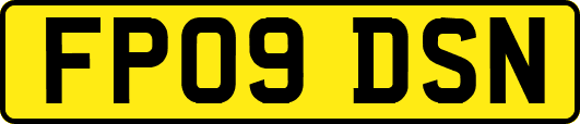 FP09DSN