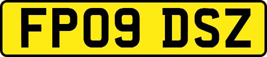 FP09DSZ