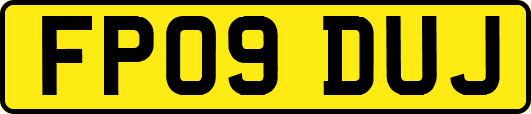 FP09DUJ