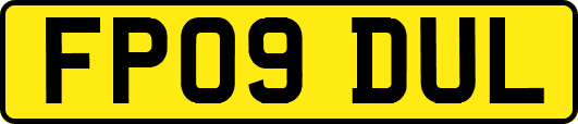 FP09DUL