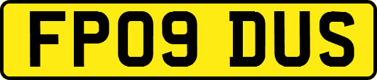 FP09DUS