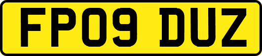 FP09DUZ